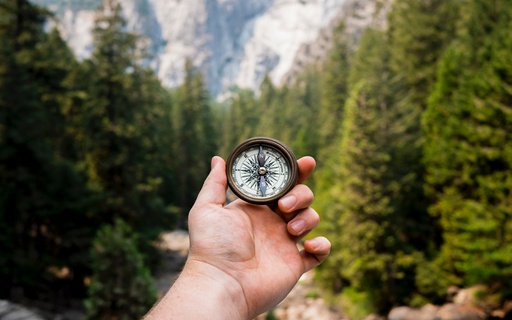 Durch eine vertrauensvolle Zusammenarbeit helfen wir Ihnen Ihre eigene Lösung zu entwickeln.